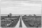 Sweden-Gotland Island-Sundre-country road-southern Gotland Art Print
